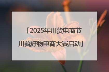 2025年川货电商节川藏好物电商大赛启动