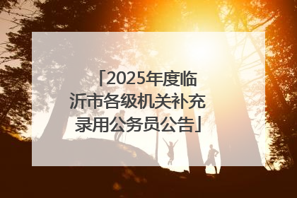 2025年度临沂市各级机关补充录用公务员公告