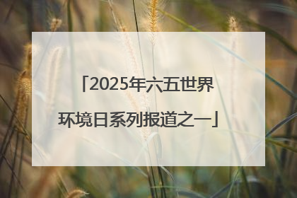 2025年六五世界环境日系列报道之一