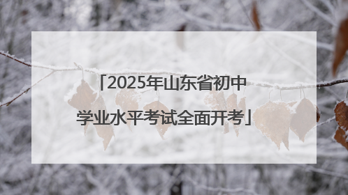 2025年山东省初中学业水平考试全面开考