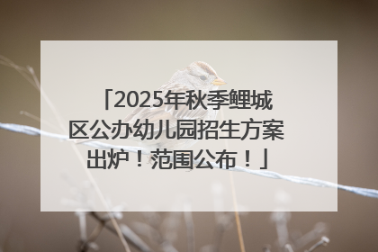 2025年秋季鲤城区公办幼儿园招生方案出炉！范围公布！