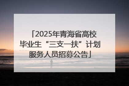 2025年青海省高校毕业生“三支一扶”计划服务人员招募公告