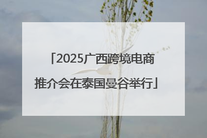 2025广西跨境电商推介会在泰国曼谷举行