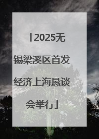2025无锡梁溪区首发经济上海恳谈会举行