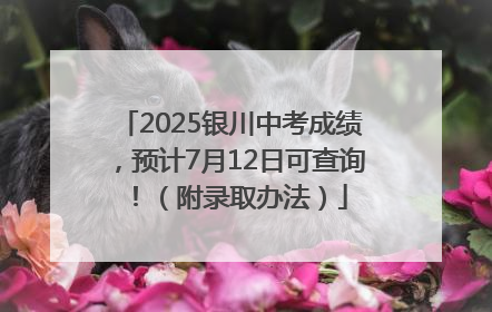 2025银川中考成绩，预计7月12日可查询！（附录取办法）