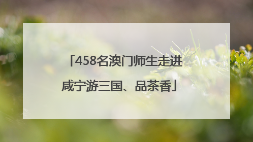458名澳门师生走进咸宁游三国、品茶香