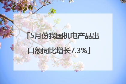 5月份我国机电产品出口额同比增长7.3%