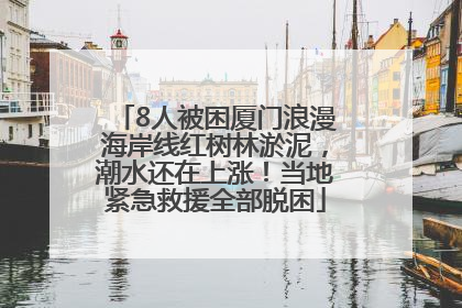 8人被困厦门浪漫海岸线红树林淤泥，潮水还在上涨！当地紧急救援全部脱困