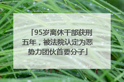 95岁离休干部获刑五年，被法院认定为恶势力团伙首要分子