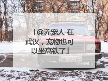 @养宠人 在武汉，宠物也可以坐高铁了