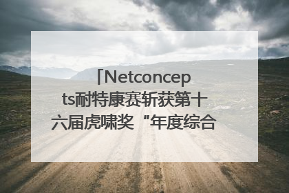 Netconcepts耐特康赛斩获第十六届虎啸奖“年度综合服务商”大奖