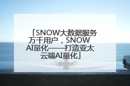 SNOW大数据服务万千用户，SNOW AI量化——打造亚太云端AI量化